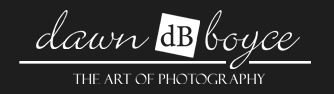 London Ontario Wedding Photography | Dawn Boyce Photography logo